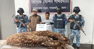 বরগুনায় দু’টি হরিণসহ শিকারি আটক, এক বছরের জেল